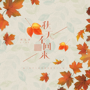 免费高清特级毛片
