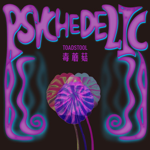 免费高清特级毛片
