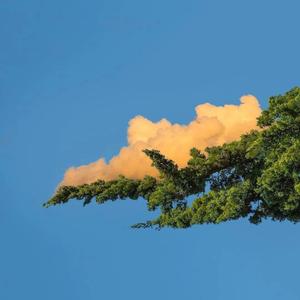 免费高清特级毛片
